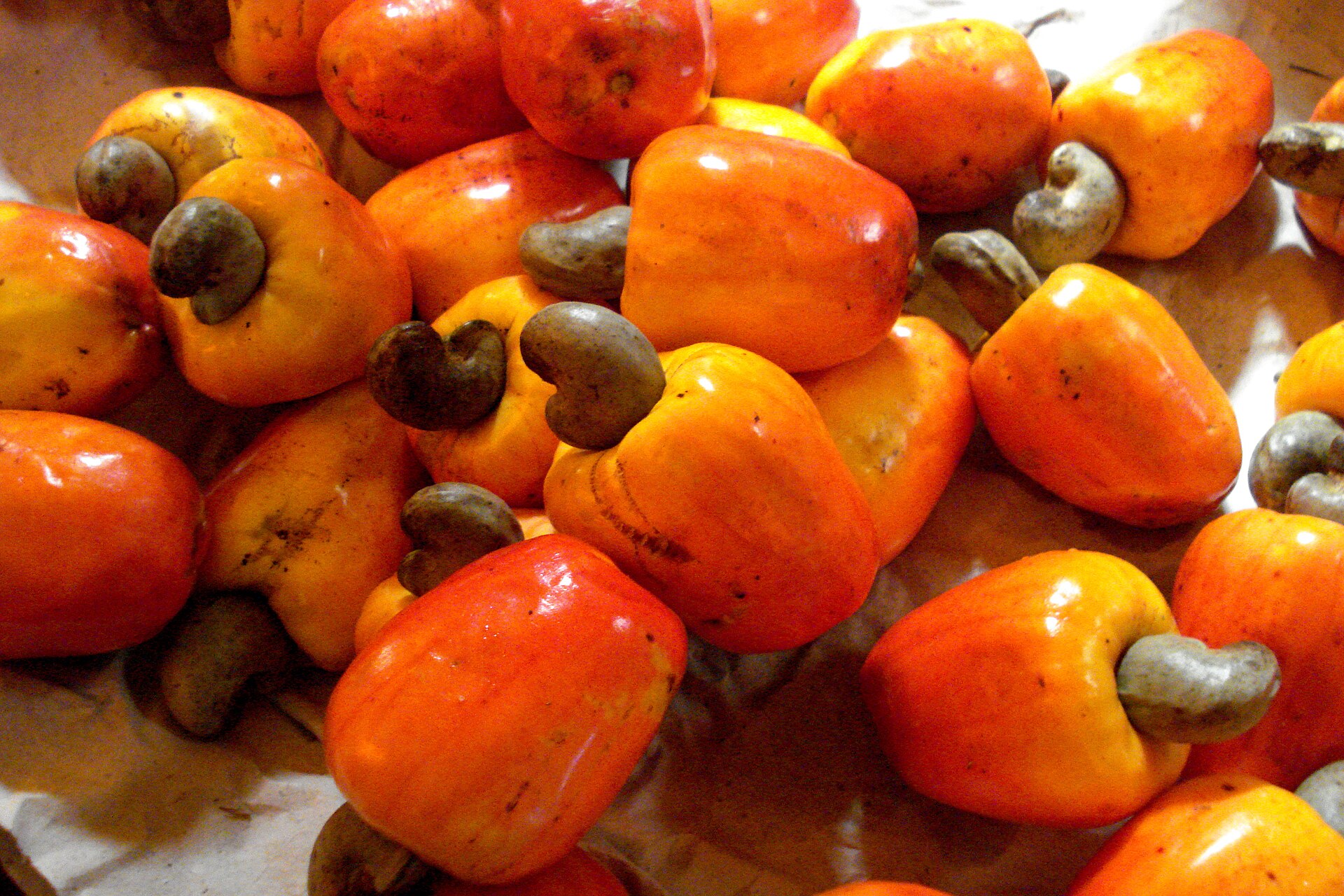 Hạt điều