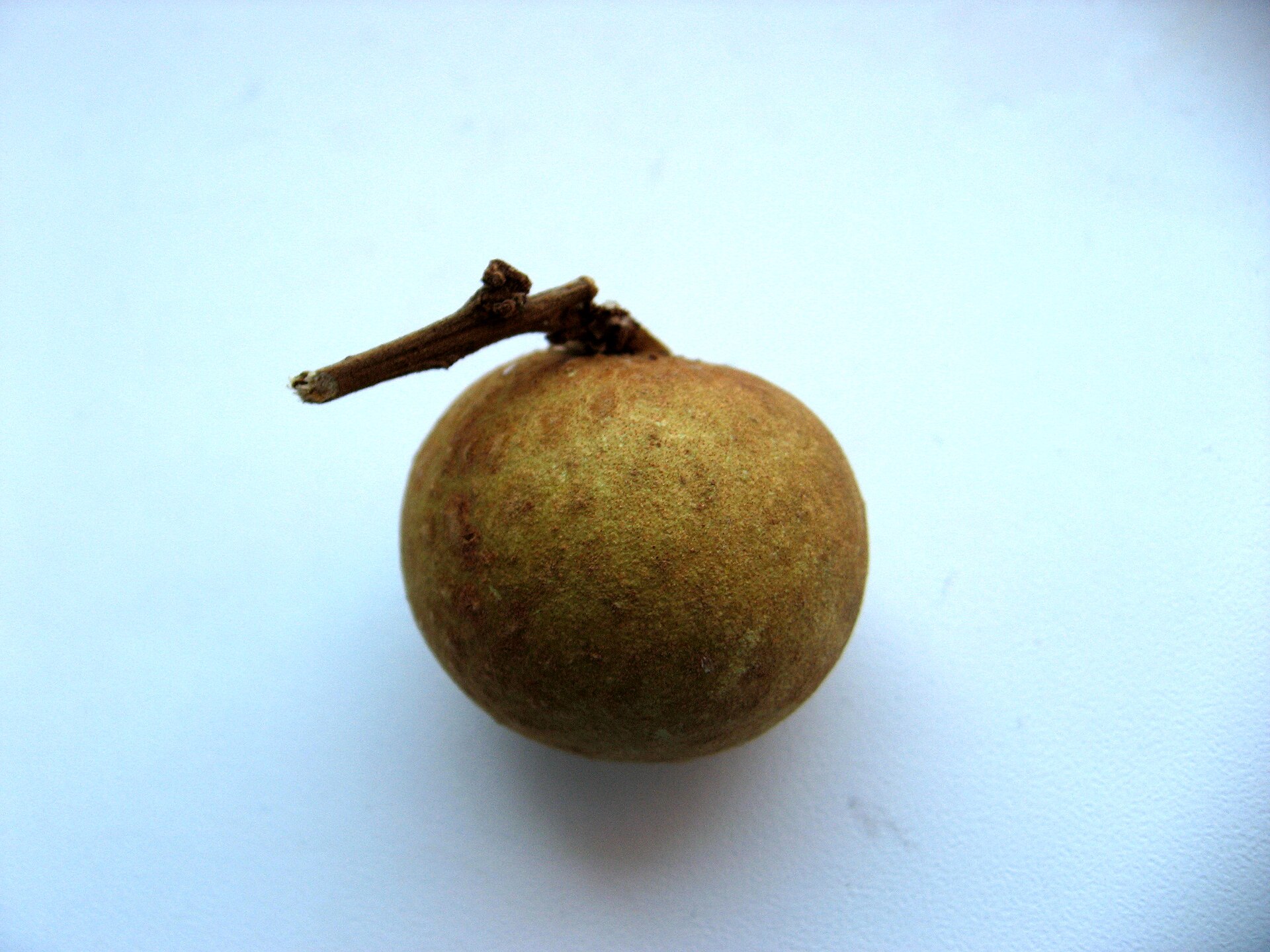 Chùm nhãn